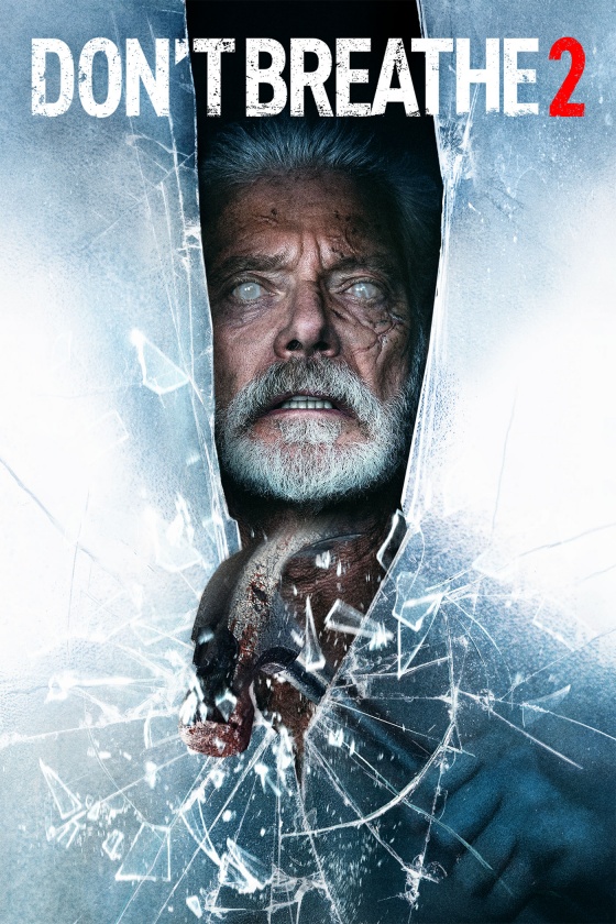 Download Don’t Breathe 2 (2021) Dual Audio {Hindi ORG 5.1 + English} WEB-DL 480p | 720p | 1080p