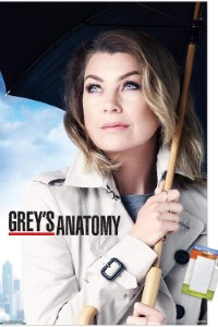 Download Grey’s Anatomy (Season 1 – 18) [S18E01 Added] {English With Subtitles} 720p Bluray [280MB]