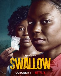 Download Swallow (2021) {English With Subtitles} BluRay 480p [400MB] || 720p [1.0GB] || 1080p [2.5GB]